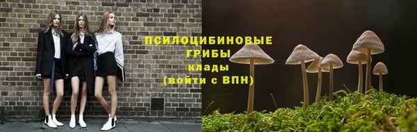 сатива Арсеньев