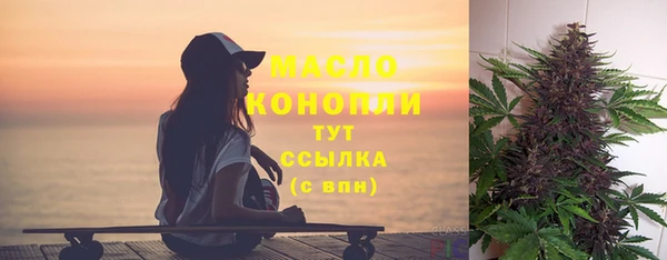 стаф Аркадак