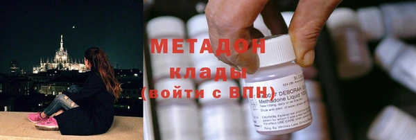 стаф Аркадак