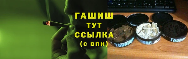 стаф Аркадак