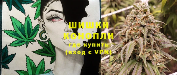 сатива Арсеньев