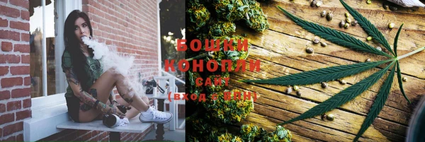 стаф Аркадак
