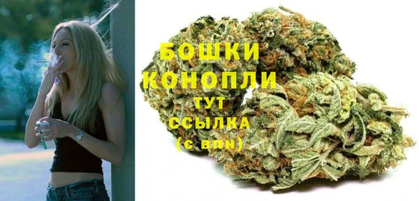 сатива Арсеньев