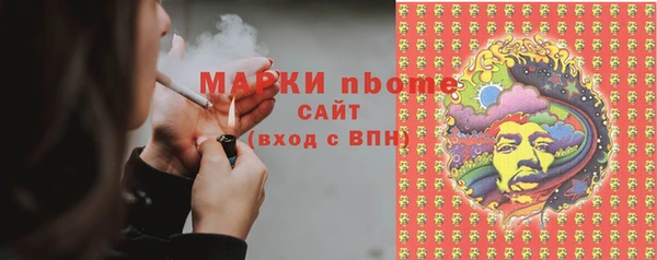 стаф Аркадак